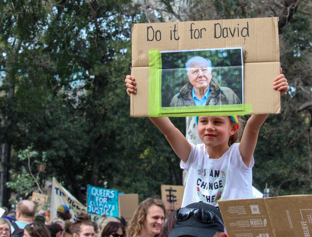  Dünyaya adanmış bir hayat: David Attenborough