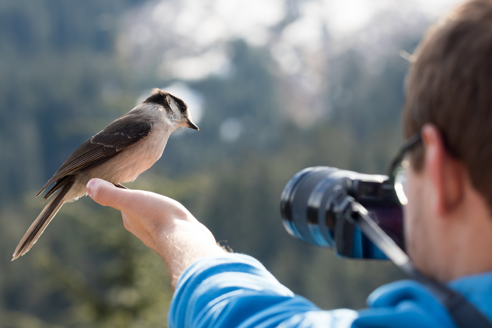 HerYaşta  | Doğaya yaklaşmanın yolu: Kuş Gözlemciliği